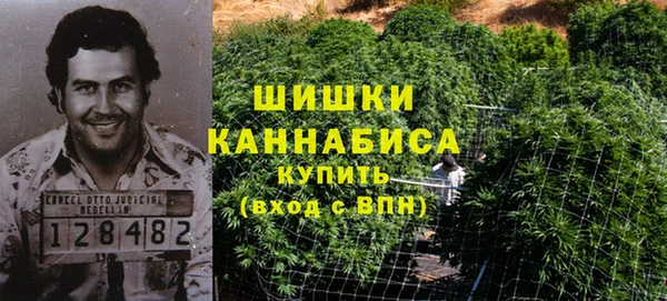 ALPHA PVP Костерёво