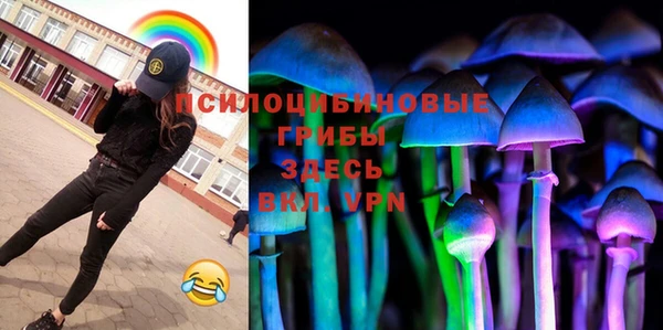 молекула духа Коряжма