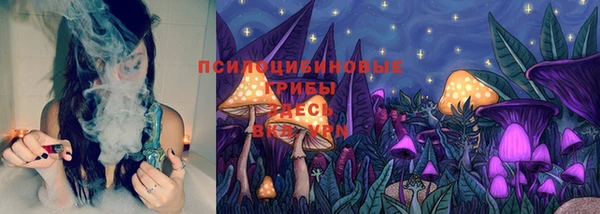 ALPHA PVP Костерёво