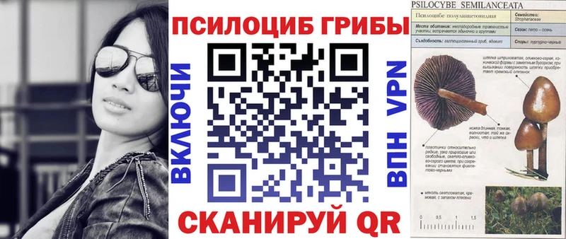 Галлюциногенные грибы GOLDEN TEACHER  Одинцово 